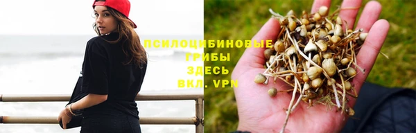 кристаллы Абаза