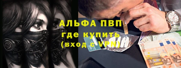 индика Лихославль
