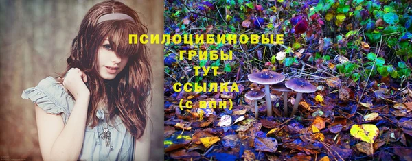 кристаллы Абаза