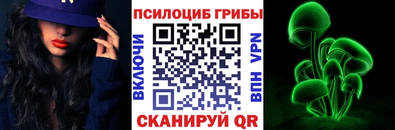 Псилоцибиновые грибы мицелий  магазин продажи наркотиков  Терек 
